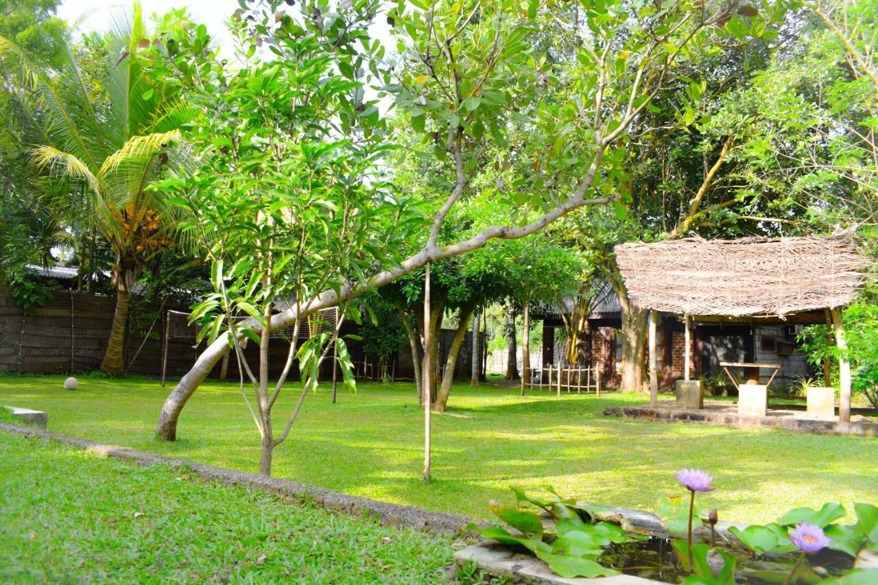 Green Cottage Anuradhapura Exterior foto